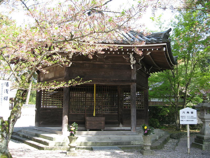 蓰