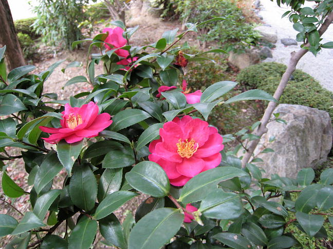 �Z�g�������֌������܂��B