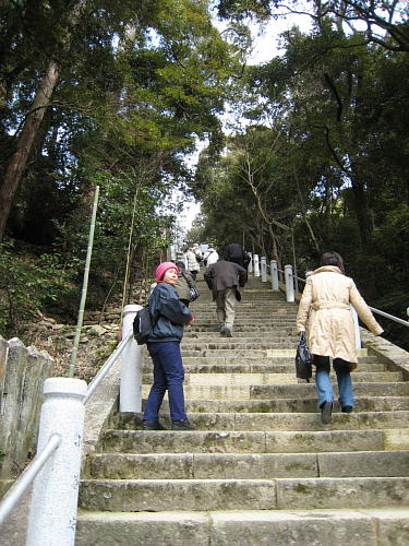 ��掛�͊K�i�̘A���c