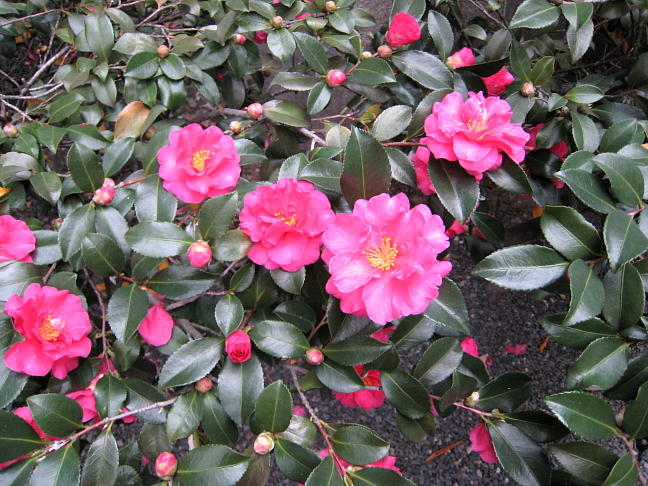 �Z�p���֌������܂��B