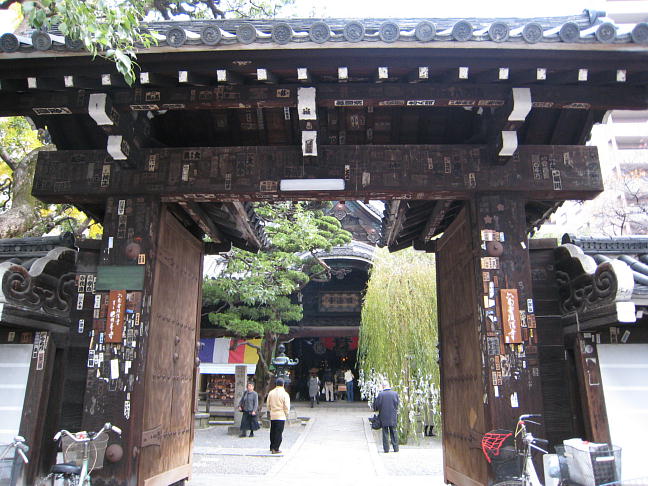 ���_�R�u���@���v�@�R��