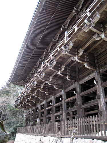 ��������Ɏ��Ă��܂��ˁB